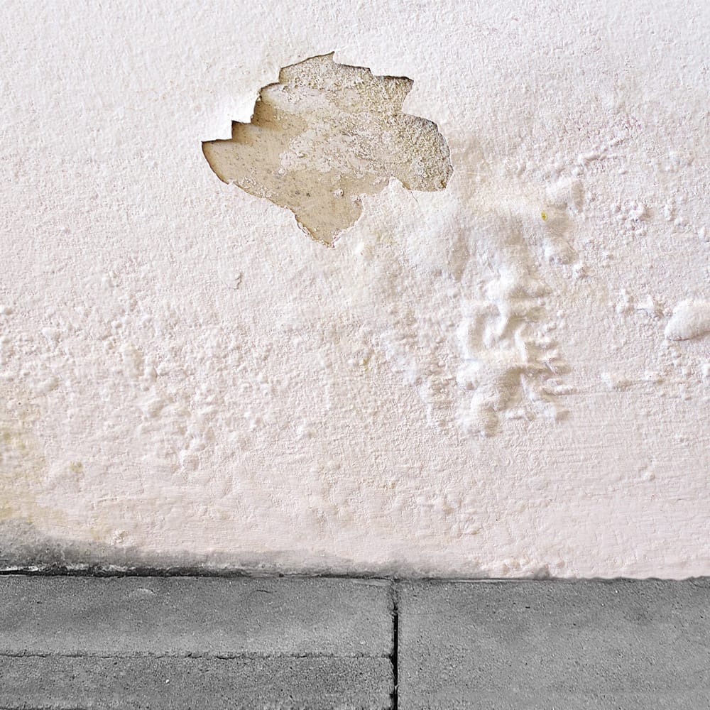 SurfaPore RD rising damp treatment on interior masonry wall